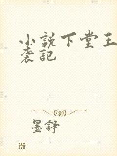 小说下堂王妃逆袭记