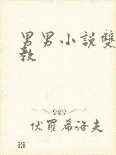 男男小说双性调教