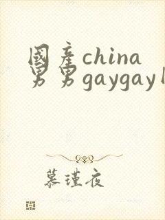 国产china男男gaygay网站