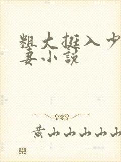 粗大挺入少妇人妻小说