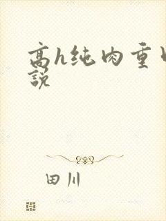 高h纯肉重口小说