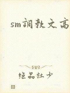 sm调教文高h封面