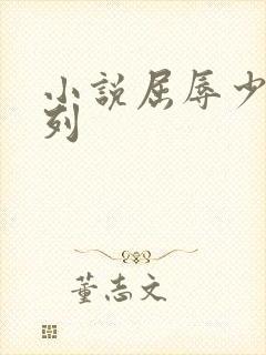 小说屈辱少妇系列封面