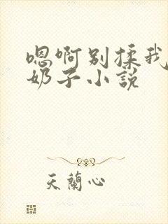 嗯啊别揉我的大奶子小说