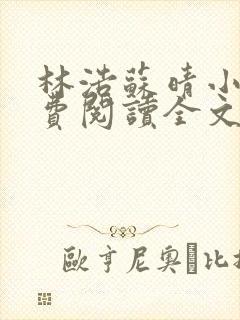 林浩苏晴小说免费阅读全文最新章节