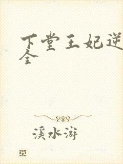 下堂王妃逆袭记全