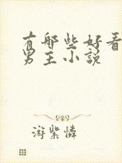 有哪些好看的双男主小说