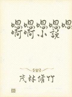 嗯嗯嗯嗯嗯啊啊啊啊小说封面