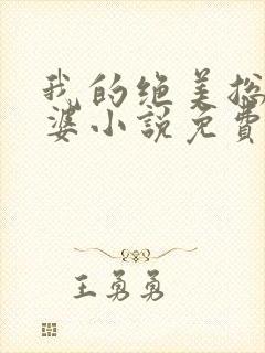 我的绝美总裁老婆小说免费