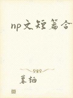 np文短篇合集封面
