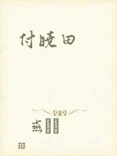付晓田封面