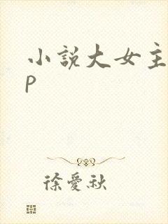小说大女主无cp封面