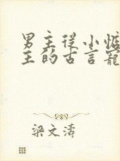 男主从小惦记女主的古言宠文