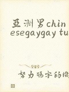 亚洲男chinesegaygay tube