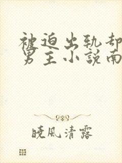 被迫出轨却上瘾男主小说南舒封面