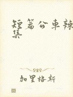 短篇公车辣文合集