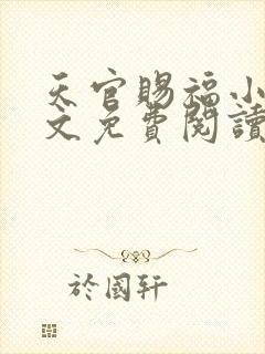 天官赐福小说全文免费阅读番外封面