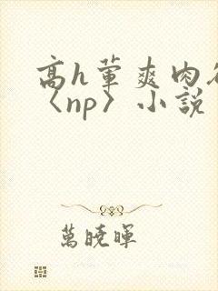 高h荤爽肉欲文〈np〉小说封面