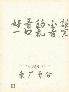 好看的小说推文一口气看完