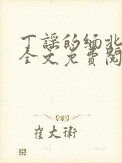 丁谣的缅北小说全文免费阅读封面