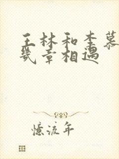 王林和李慕婉第几章相遇