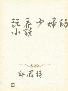 玩弄少妇的悲哀小说