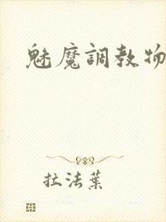 魅魔调教物语