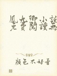 凤九卿小说全文免费阅读无弹窗