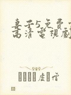 妻子5免费完整高清电视剧