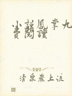 小说凤掌九天免费阅读