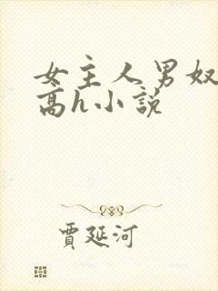 女主人男奴调教高h小说