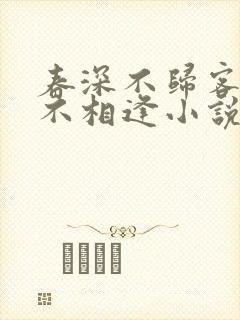 春深不归客清梦不相逢小说