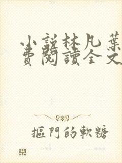 小说林凡叶惜免费阅读全文