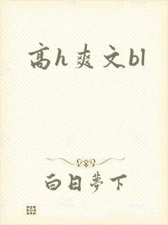 高h爽文bl