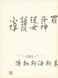 小说从斗罗开始俘获女神