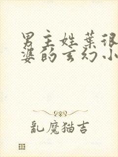 男主姓叶很多老婆的玄幻小说