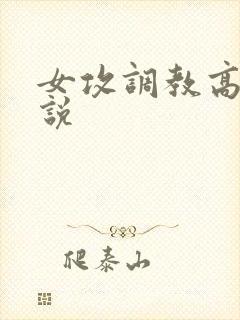 女攻调教高h小说