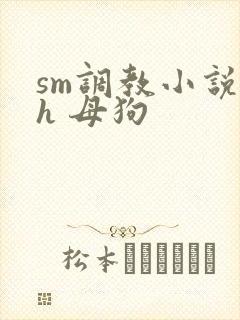 sm调教小说高h 母狗