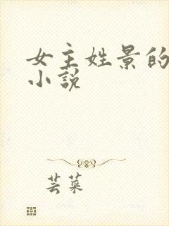 女主姓景的现代小说封面