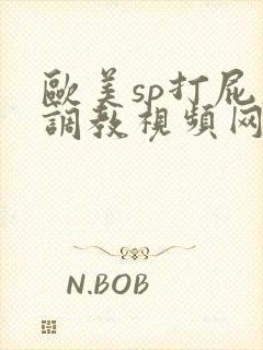 欧美sp打屁股调教视频网站