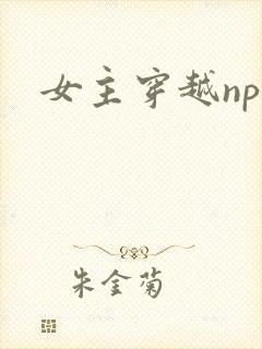 女主穿越np