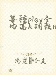 各种play全肉高h调教np