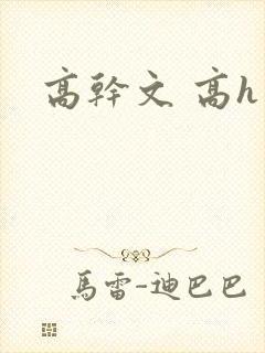 高干文 高h