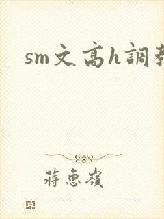 sm文高h调教