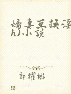 娇妻互换淫欢(h)小说