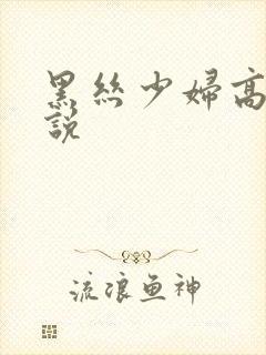 黑丝少妇高潮小说