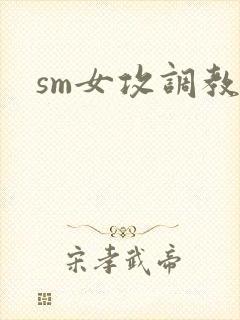 sm女攻调教文
