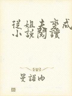 从姐夫变成丈夫小说阅读封面