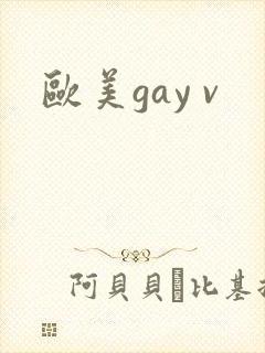 欧美gay v