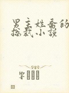 男主姓乔的霸道总裁小说